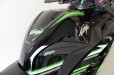 KAWASAKI NINJA 300