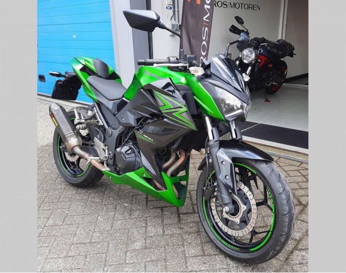 KAWASAKI Z 300 PERFORMANCE